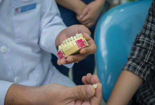 rang-toan-su-co-mau-sac-trong-va-tu-nhien