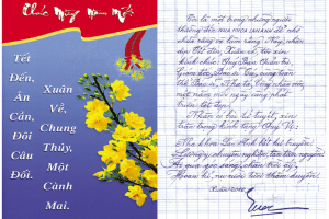 loi chuc tet den toan the nhan vien nha khoa lan anh