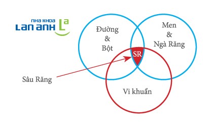 Cac yeu to dan den sau rang